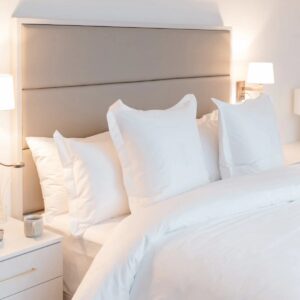 Duck down feather pillow