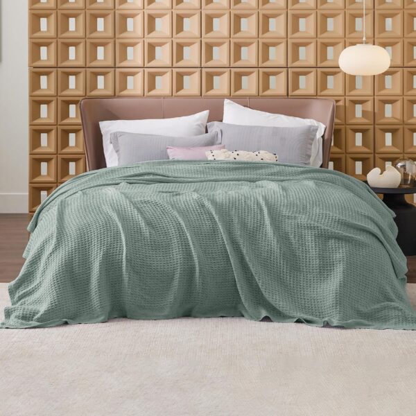 bamboo fiber blanket - 图片 6